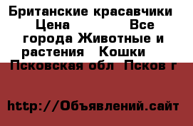 Британские красавчики › Цена ­ 35 000 - Все города Животные и растения » Кошки   . Псковская обл.,Псков г.